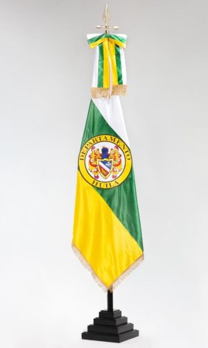 Bandera amarilla y verde con escudo
